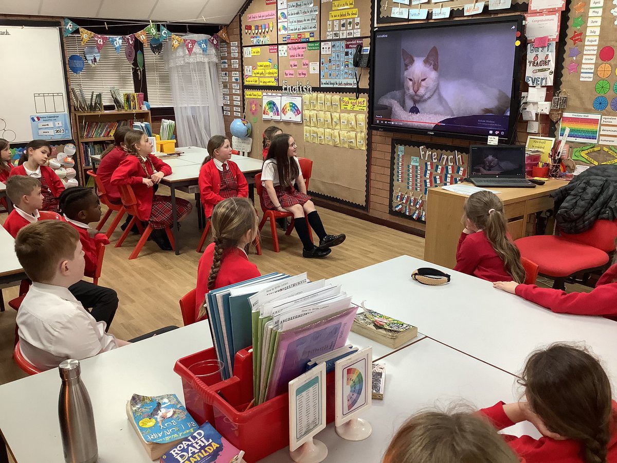 ecoclubaspull's tweet photo. We had a lovely time with @AnimalAid this afternoon learning all about how to care for animals and our environment https://t.co/WvOeMRKRob