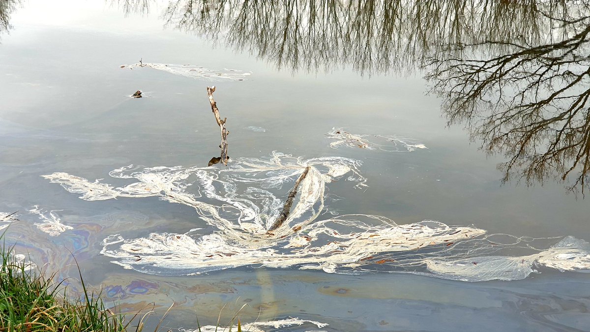 Pollution sur une rivière.
#canaldilleetrance
#SaintGregoire