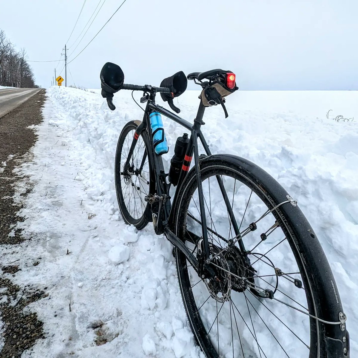 Speed River Bicycle tweet media