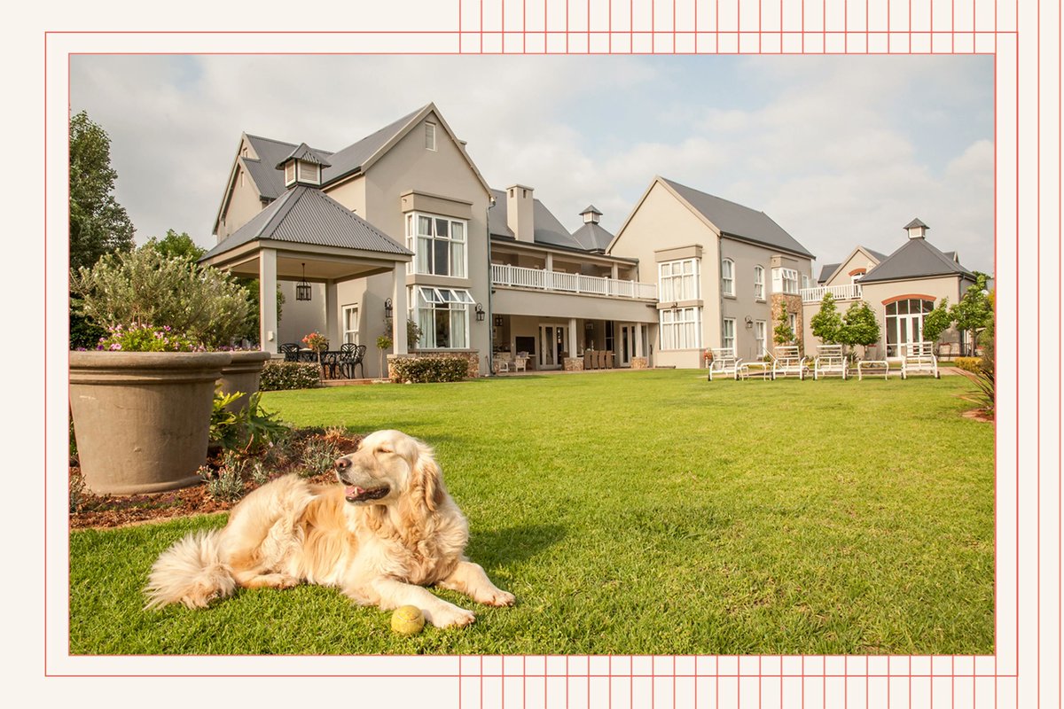 randylenz's tweet photo. Looking for their fur-ever home. Around 70% of Americans have a pet, so sellers/landlords need to think about pet-friendliness when renovating or marketing a property.  https://t.co/AHMJ1iSoMX 

#homebuying #petfriendly https://t.co/cATXLD00xJ