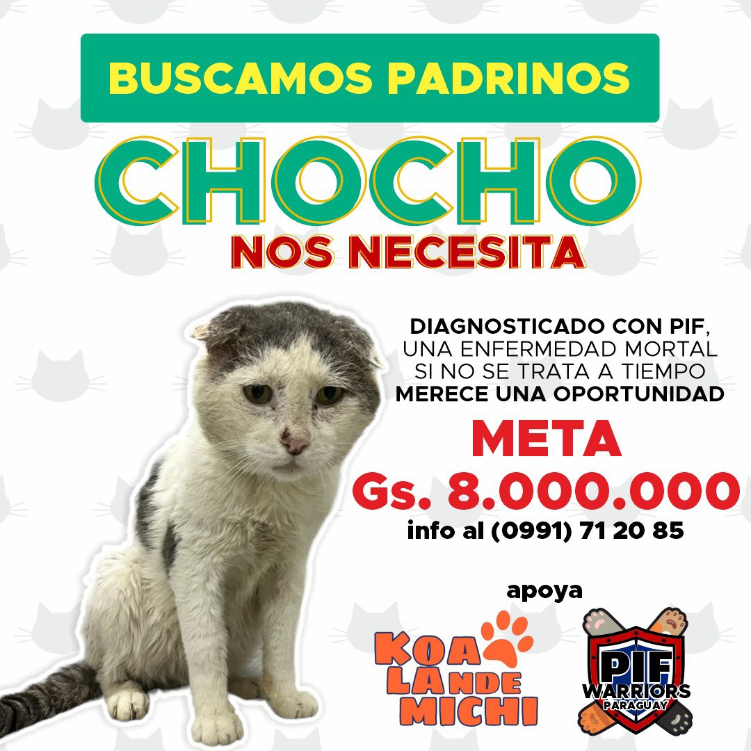 Aiudaaa! 😿