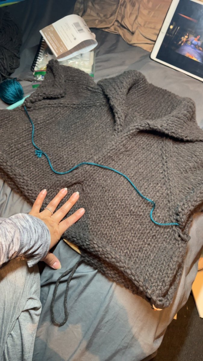 audacious3xaqua's tweet photo. knit a sweater over the weekend https://t.co/f8dpFM2H7e