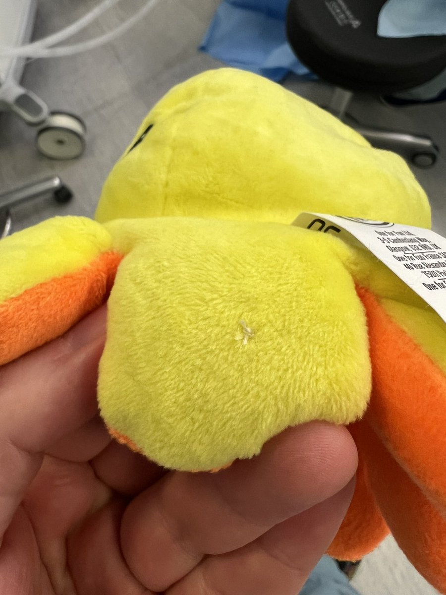 One of the best things about working in theatres is being able to help fix issues with favourite toys (thanks to some quality stitching from the scrub nurse) whilst their owners are being fixed…

(Octopus’s name removed to protect their identity) - posted with permission