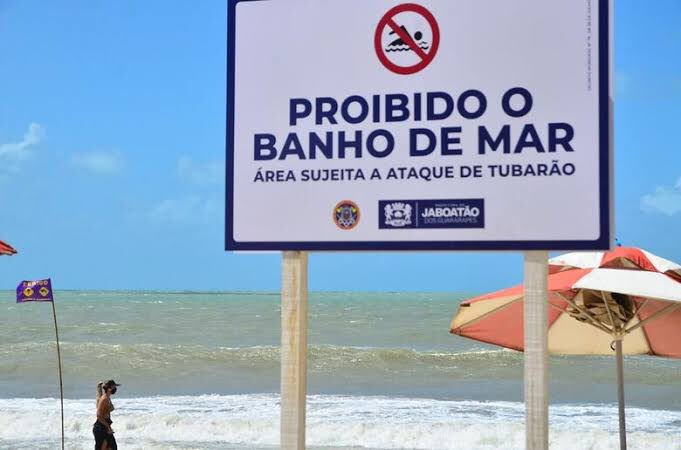Geannliima's tweet photo. Essa é a placa que está distribuída por todas as praias de Piedade.

Ontem, um menino foi atacado e teve a perna amputada depois de ser mordido por um tubarão. 24 horas depois, a situação se repete. Agora uma menina foi a vítima e teve o braço amputado.

NEGACIONISMO MATA. https://t.co/RD1bPTeGuK