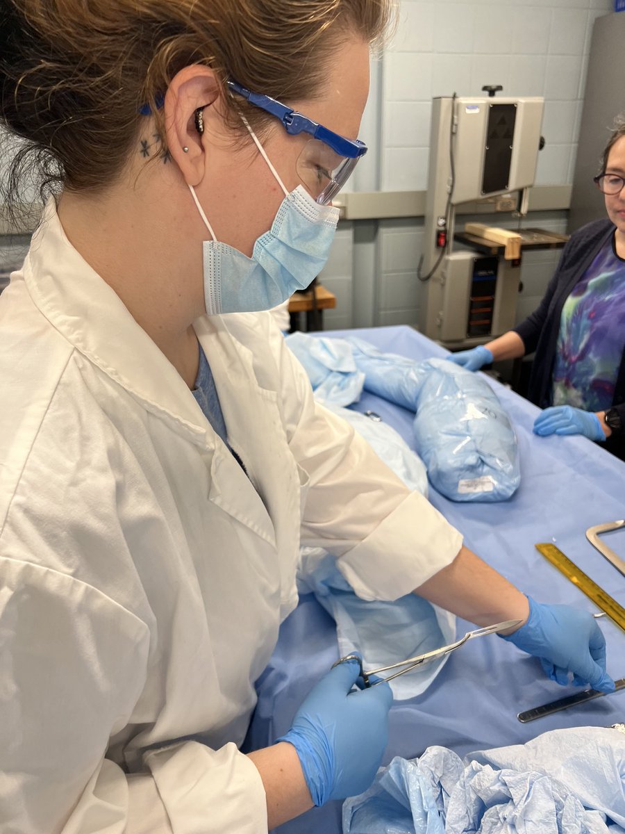 MikaylaHoyle's tweet photo. Dissection day in the lab 🤓 https://t.co/TsYK7akgGl