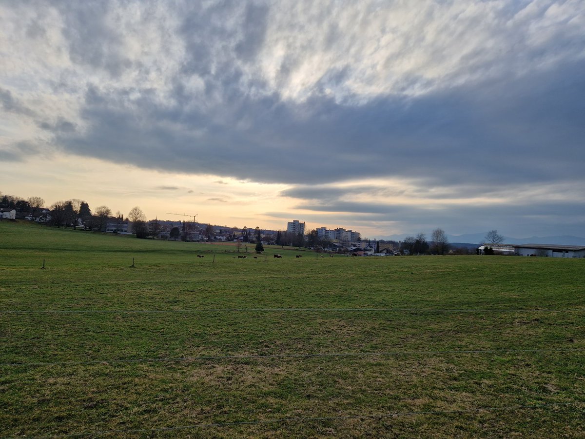 Miguel Loera tweet media