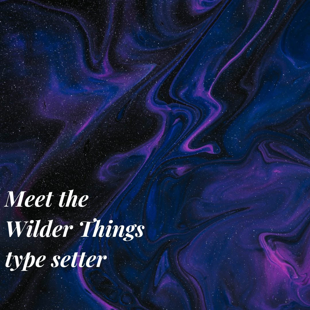 Wilder Things | Subs Closed tweet media