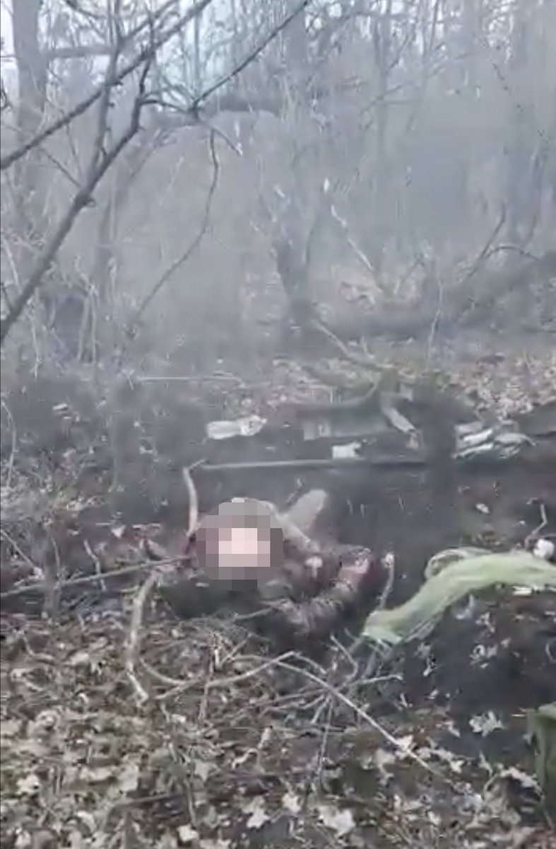 🚨This shocking video which is now circulating on social media, seemingly shows the execution of an unarmed Ukrainian POW by the Russians. After saying "Slava Ukraini" (Glory to Ukraine), the man was shot in the head. If true, this is clear evidence of a war crime.