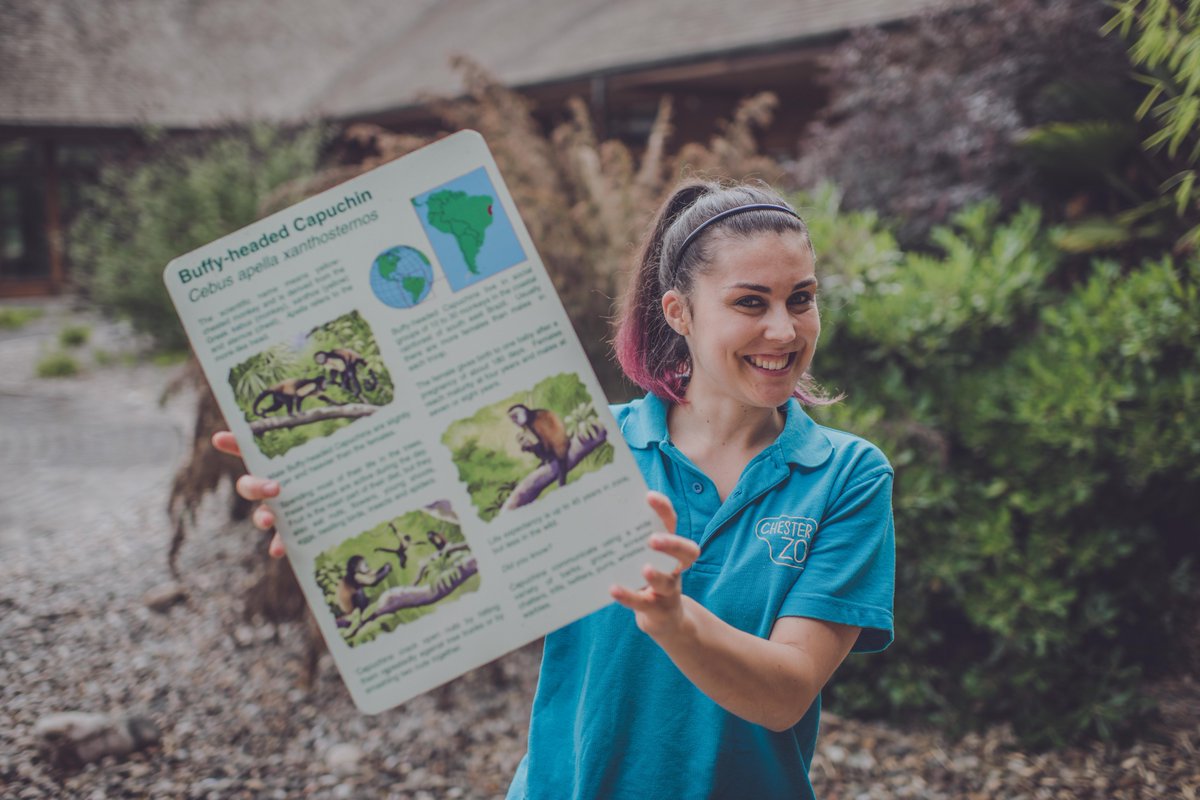 ScienceatCZ's tweet photo. How do we make zoos more engaging?! 🤔🦓🦒🦜 An exciting NEW STUDY found interpretation design traits at CZ to have a HUGE impact on visitor engagement &amp; learning, with interactive exhibits attracting 4X more visitors, who stop for 6X longer! 🤯 More at 👉 https://t.co/i0CrhDpUz0 https://t.co/JXiWMcdLNJ