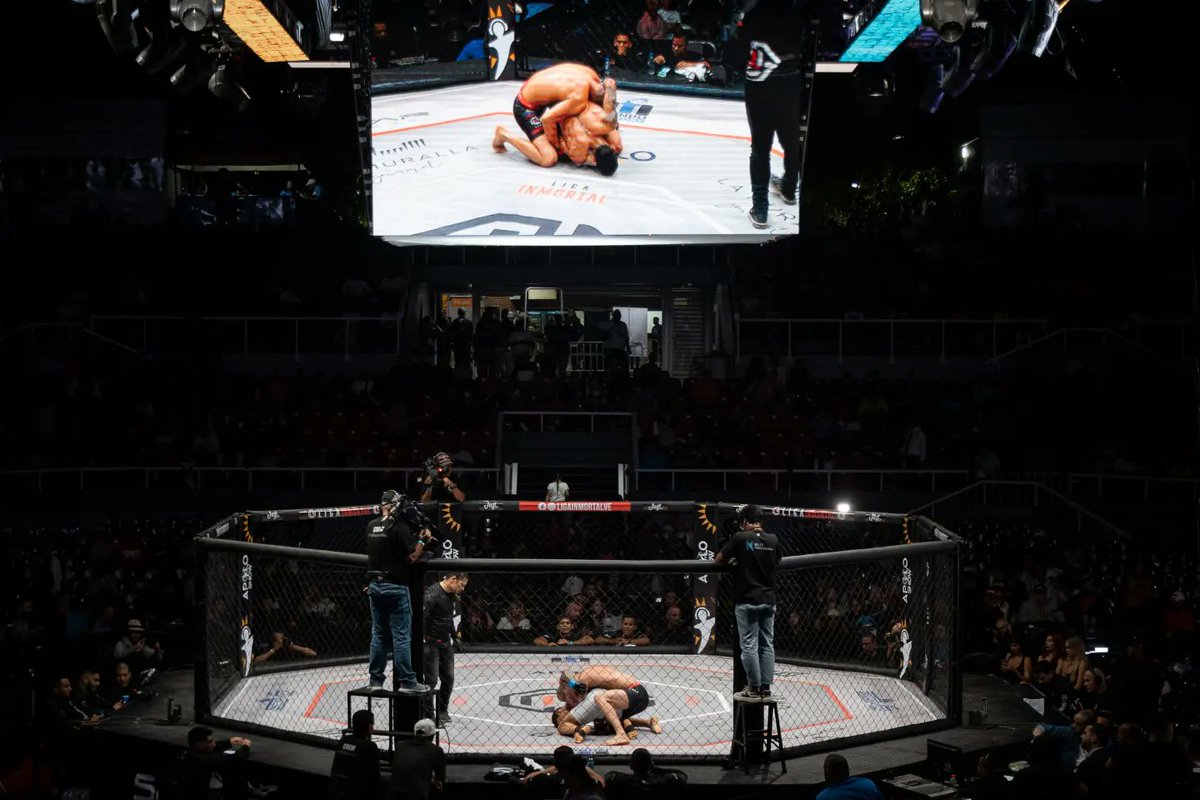 La segunda edición de la Liga Inmortal volvió a Venezuela el pasado 4 de marzo con 12 combates de artes marciales mixtas con peleadores nacionales e internacionales. En el Parque Naciones Unidas de Caracas. <a href="/ElPitazoTV/">El Pitazo</a> #Ligainmortal #MMA #combat