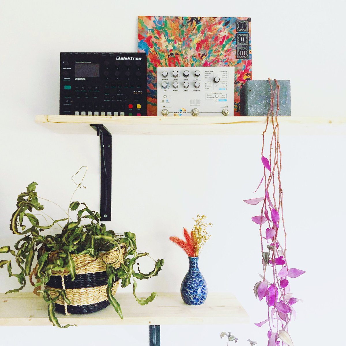 O5audio's tweet image. Digitone + Microcosm ⚡️

#musicgear #digitone #synth #microcosm #hologramelectronics #elektron #musicproducer #ambient #ambientmusic