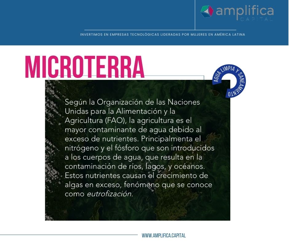 Amplifica Capital tweet media