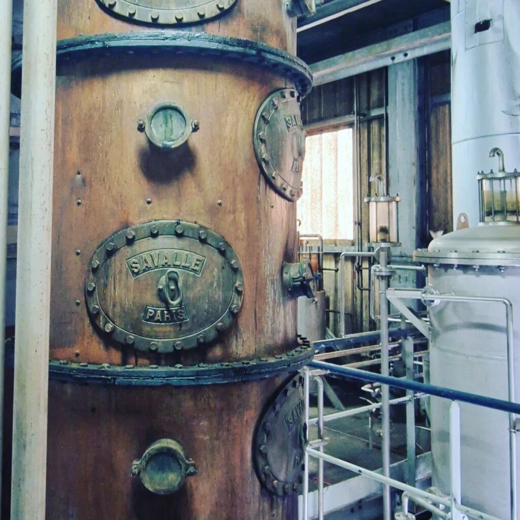 Pavel Ungr, RumRock tweet media