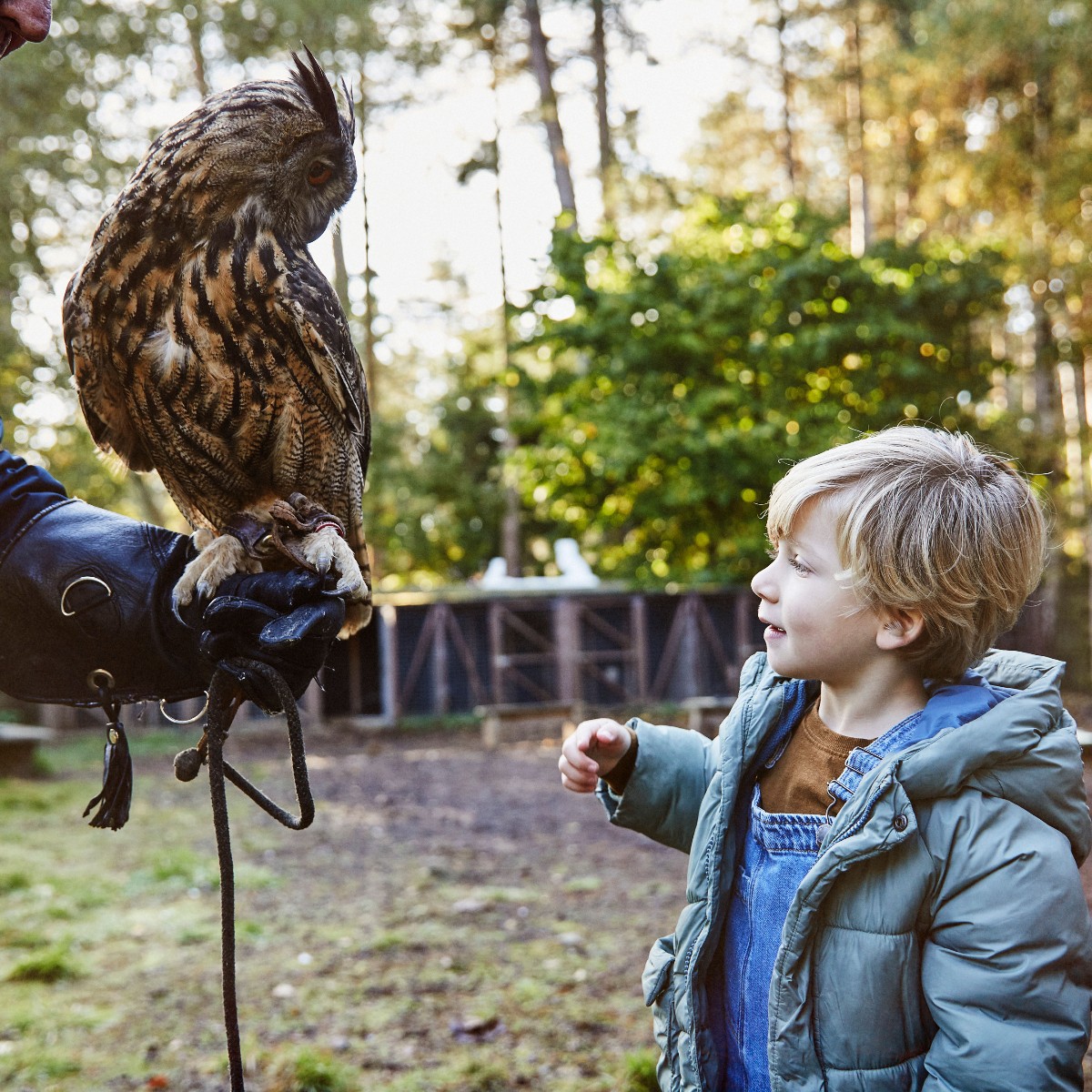 The forest is waking up…

Our Rangers Lodge has so many fun and educational activities available to show you the wildlife in the forest.

Take part in:
🌲Build a Nature House
🦉Baby Owls or Encounter With Owls
🔍Nature Detectives
🚶Nature Walk 

🔗https://t.co/LRPRjI5tID https://t.co/BvQvRGcDlv