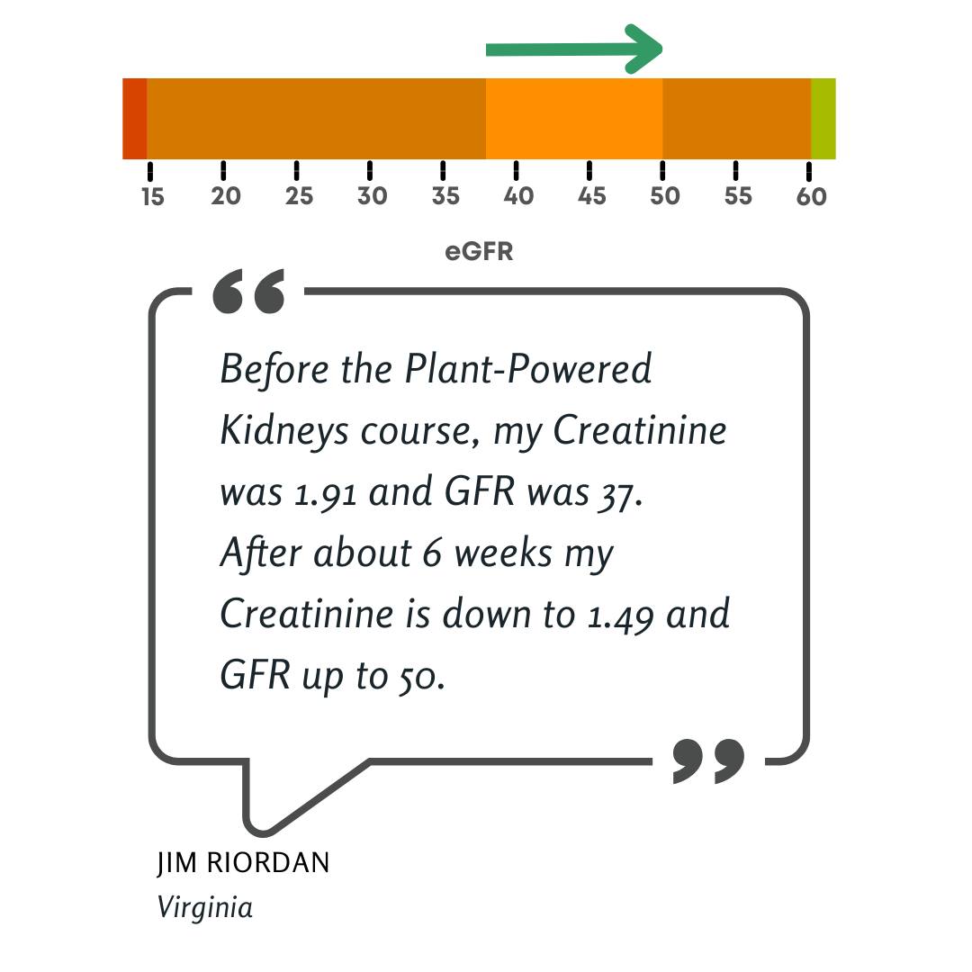 Plant-Powered Kidneys (@plntpwrdkidneys) on Twitter photo plant-powered-kidneys.ck plant-powered-kidneys.ck