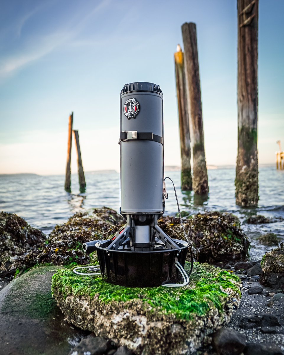 DiveXtras's tweet photo. Take the plunge into the underwater world with the BlackTip DPV - the ultimate diving companion! #divextras #divex #dive #diving #dpv #blacktip #scuba #pugetsound #pnw https://t.co/DNYTpYI1oF