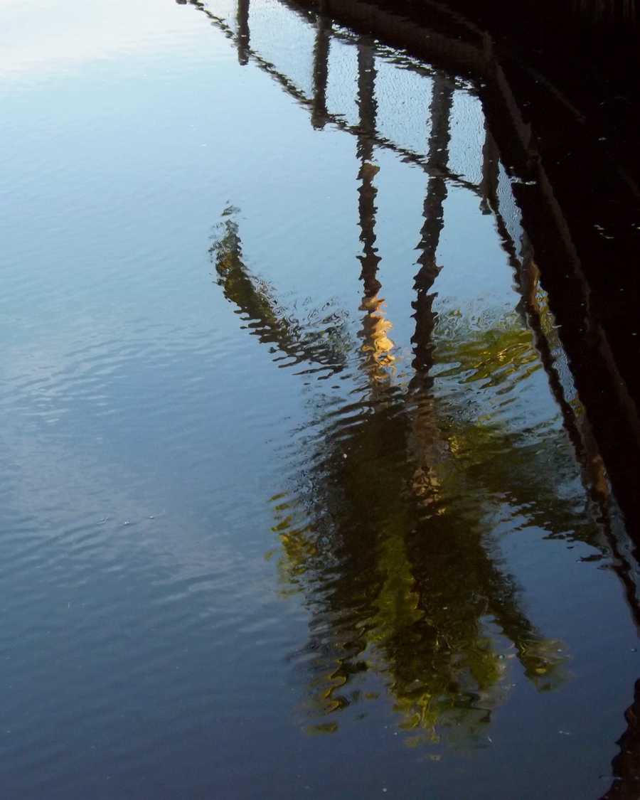 Early evening with the inverted reflection of a coconut tree in the dark waters of the lake, highlighting the color of the sky in contrast to the green.
1/1
0.61 $bnb
#BNBChainNFTs #nftphotography #reflections <a href="/nanoartmarket/">Nano Art Market</a>