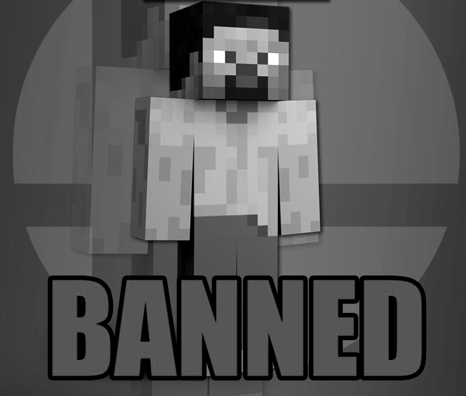 3picGab3's tweet photo. STEVE IS BANNED!!!!!!!!!!!! https://t.co/3GtrNRR1aF