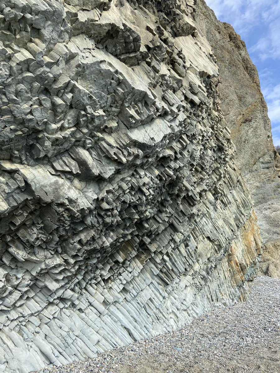 Кататравма и другие приключения жмурика on Twitter: