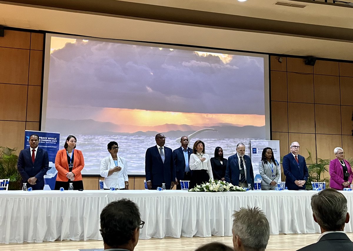 Andrade Patricia (@andradepat12) on Twitter photo Emocionados con el inicio del 3 congreso mundial de las #BallenasJorobadas en la RD🇩🇴, la ocasión de reafirmar nuestra acción en favor del #Océano, los ecosistemas marinos y la #EconomíaAzul.<a href="/AFD_es/">Agence française de développement Amérique Latine</a> aplaude el esfuerzo colectivo que realizamos para llevar a cabo este magno evento Emocionados con el inicio del 3 congreso mundial de las #BallenasJorobadas en la RD🇩🇴, la ocasión de reafirmar nuestra acción en favor del #Océano, los ecosistemas marinos y la #EconomíaAzul.<a href="/AFD_es/">Agence française de développement Amérique Latine</a> aplaude el esfuerzo colectivo que realizamos para llevar a cabo este magno evento