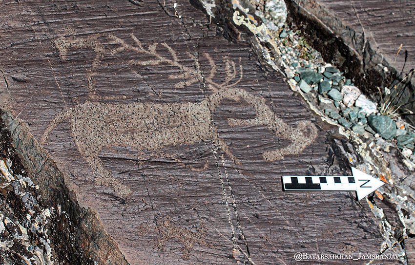 MAPSS (@mapss_project) on Twitter photo A hunter dog attacking deer with a tree-like antler. The rock art scene in the Mongolian Altai. <a href="/MPI_GEA/">MPI-GEA Jena</a> <a href="/ArcadiaFund/">Arcadia Fund</a> A hunter dog attacking deer with a tree-like antler. The rock art scene in the Mongolian Altai. <a href="/MPI_GEA/">MPI-GEA Jena</a> <a href="/ArcadiaFund/">Arcadia Fund</a>