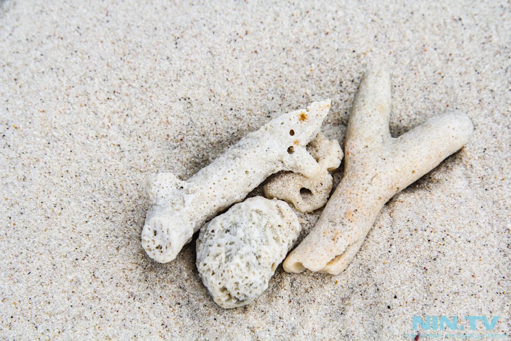 Good evening! Who is interested in working in Thailand? Contract term 3 months, work in a nightclub! Email: models@nin.tv