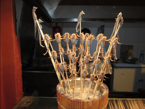 BTravelE's tweet photo. Gastronomía del mundo vista desde el lente de @MarcosBandoni @BTravelE #turismogastronomico un manjar en China, te comerias algo así? https://t.co/xUVce3HDcx