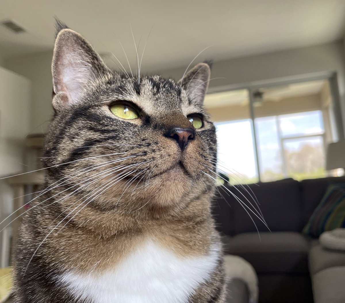 Just contemplating the meaning of life. What’s it all about?