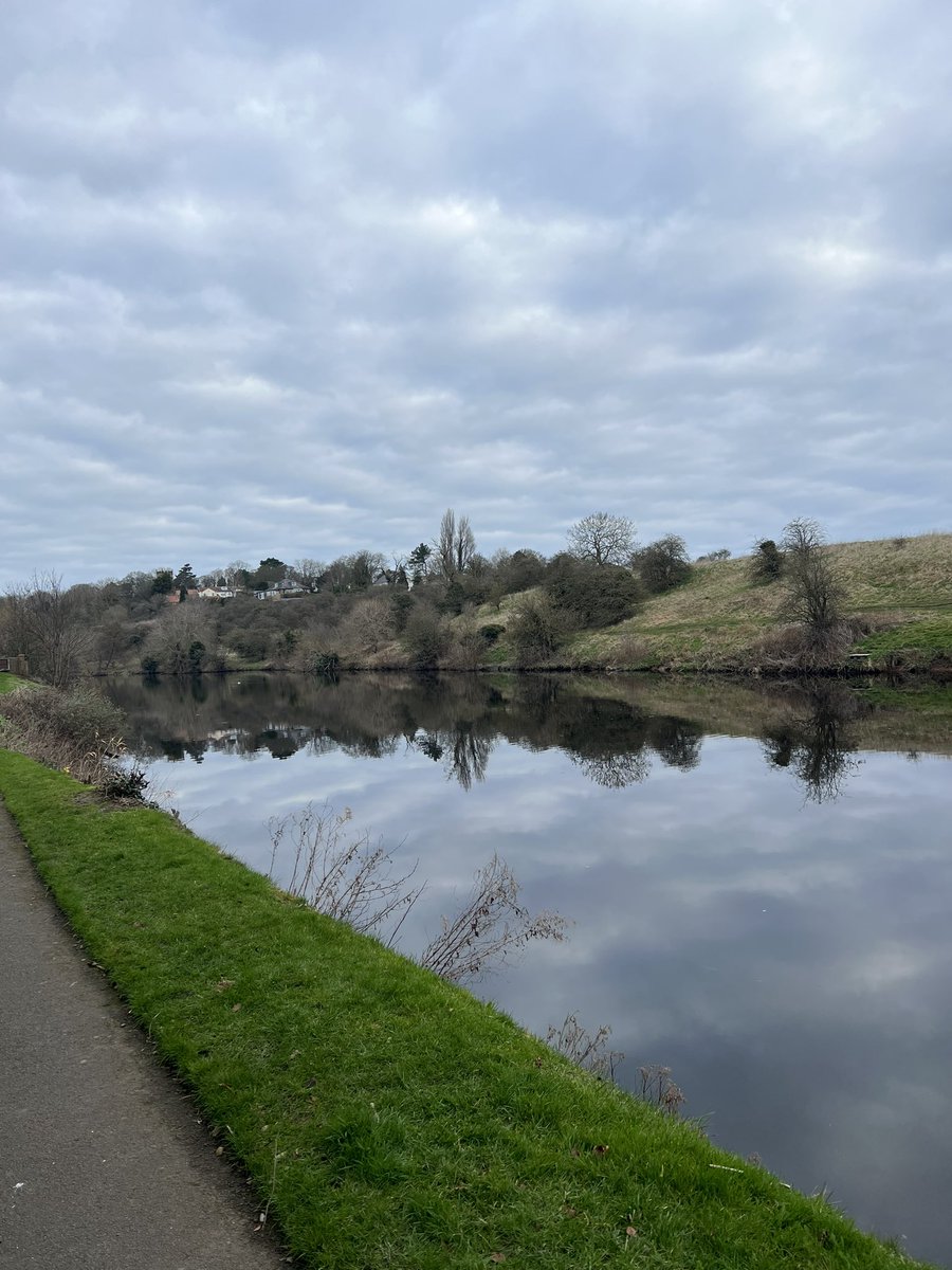 yarmySue's tweet photo. My gorgeous 12 next month #woodysprocker had a lovely 4 mile walk along the river in #yarm with his 4 year old sister (adopted) #rolococker he finished the walk as strong as he started I love him so much! #seniorpupsrule https://t.co/8RUojru9Gg