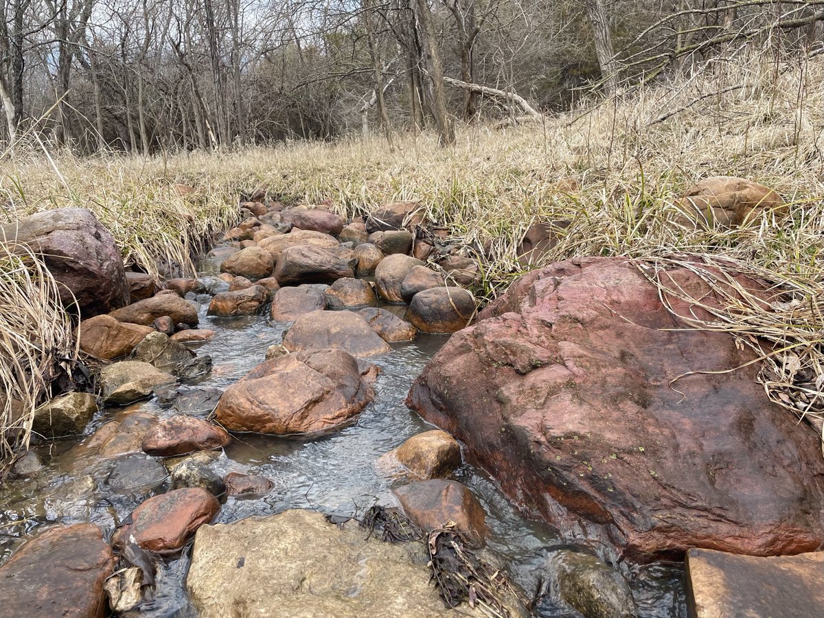 KUFieldStation's tweet photo. GLACIERS IN KANSAS?! 😮
Near the bank of Clinton Lake is a large deposit of Sioux Quartzite boulders that originated in Minnesota and South Dakota and were transported here by glaciers!
#kufieldstation #lawrenceks #lawrencekansas #obfs #ku #glaciers #glacialerratic #geology https://t.co/ZsObNmIYiq