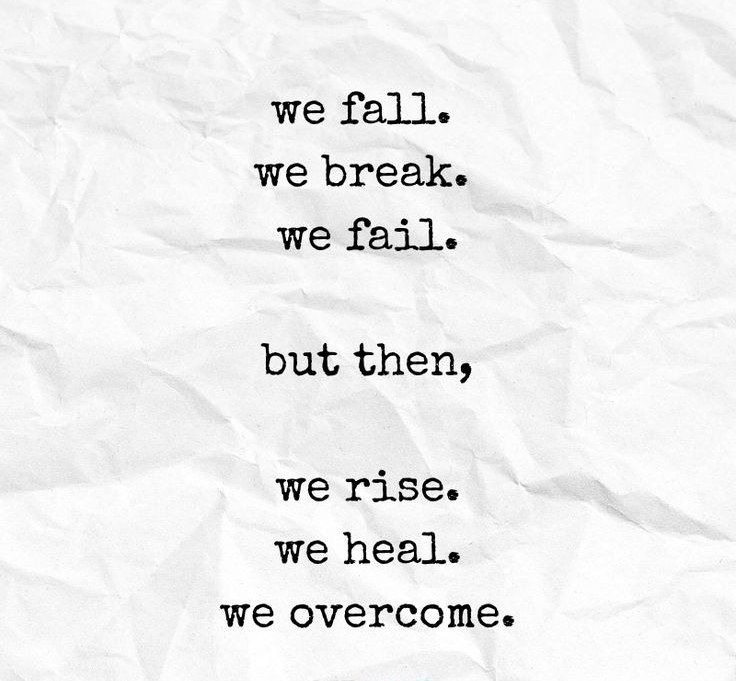 Wise Chimp tweet media