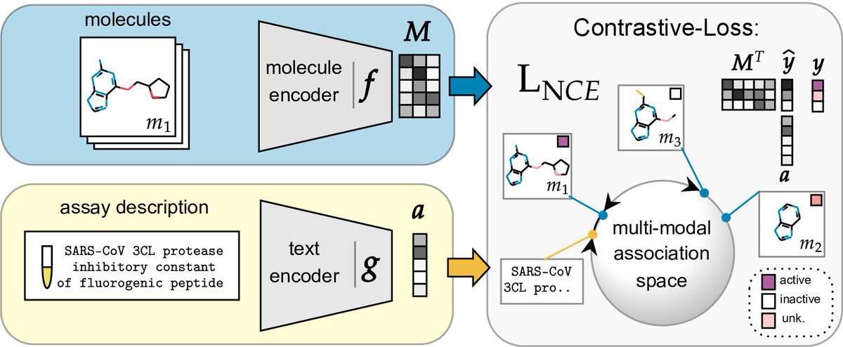 📢 Exciting news for drug discovery! 🔬 We are proud to present 🗜️CLAMP (Contrastive Language-Assay-Molecule Pre-training), a new tool 🛠️ for molecular activity prediction that can adapt to new experiments at inference time! 🤯 This could be a game-changer for low-data tasks! 🚀