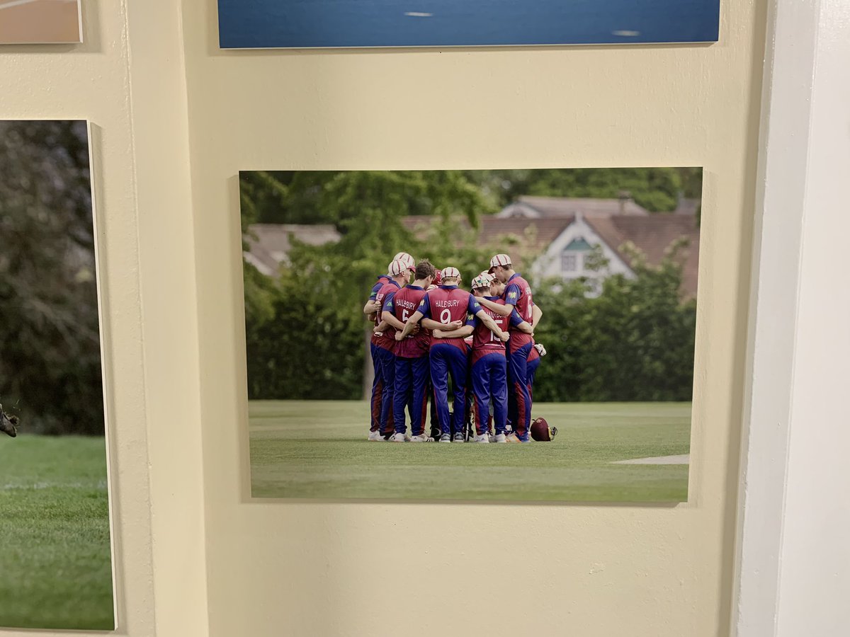 Haileybury Cricket tweet media