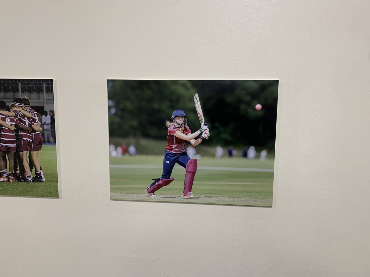 Haileybury Cricket tweet media