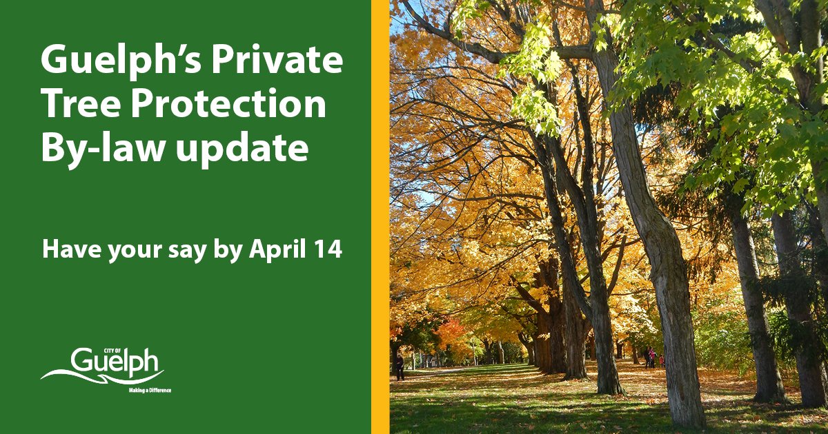 cityofguelph's tweet photo. Hey #Guelph - we’re exploring options for updating Guelph’s Private Tree Protection By-law and want to hear from you to make the tree by-law the right fit for our city. Learn more at https://t.co/C1VA6DLr1T https://t.co/rLHxFjFy30