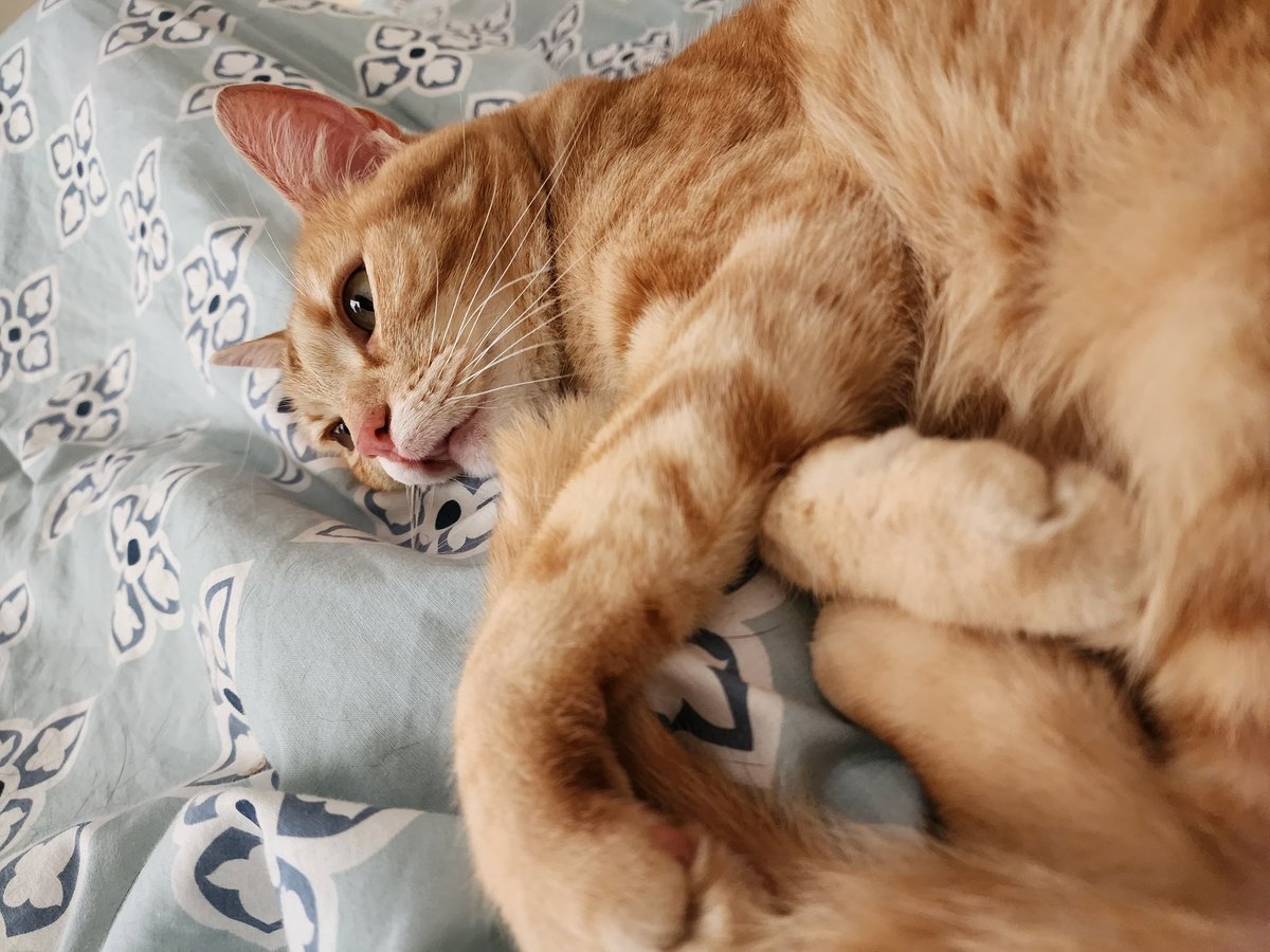 Hermes3Trismeg's tweet image. Being a Scorpio is like being a secret agent, except instead of saving the world, you just overthink everything and have a lot of feelings.&quot; #ScorpioProblems