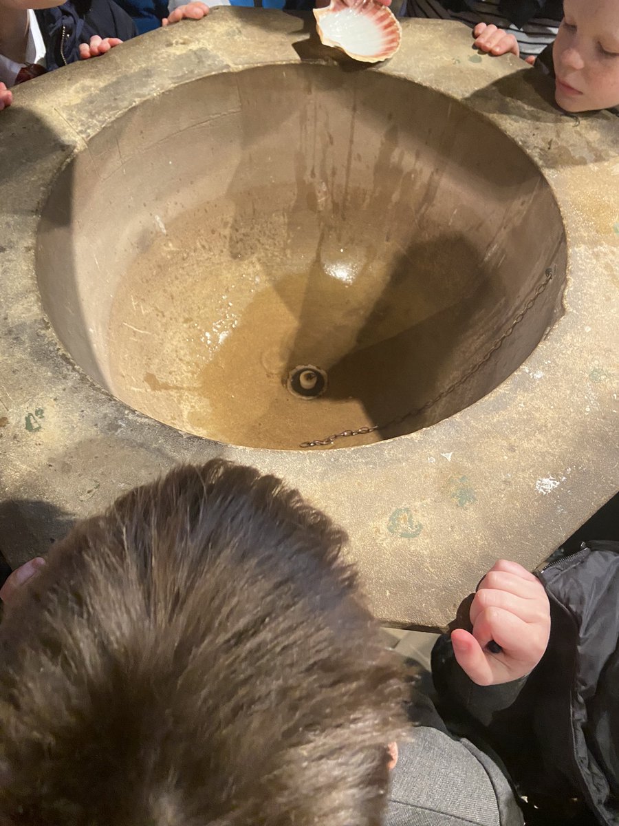 North Wheatley Amethyst Class tweet media