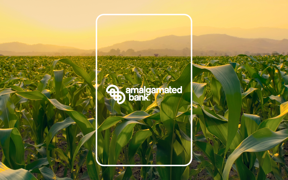 AmalgamatedBank's tweet image. ❓ What's small, sleek, and good for the environment? All we can say is, it's a new way to pay.

#BankYourValues #SociallyResponsible #greenbanking #sustainable #socialimpact