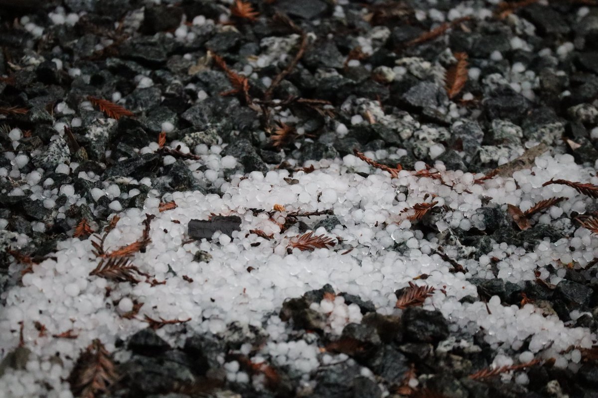 jhennd's tweet photo. @clicks1222 Remnants of yesterday's 3 minute hailstorm. https://t.co/jkLj5hEDMR