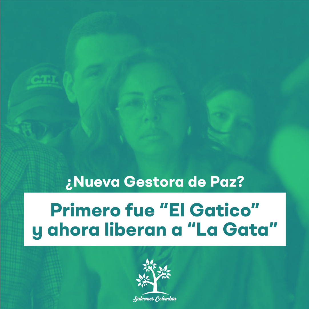 SalvemosCol's tweet photo. "¿Futura gestora de paz? Enilce López, alias "La Gata", Quedo libre por su mal estado de salud después de que una jueza de Barranquilla otorgara ese beneficio, Además su hijo, Jorge Luis Alfonso López, también fue liberado recientemente
#justicia #gestoresdepaz #lagata #elgatico https://t.co/d1EsaZGI4l