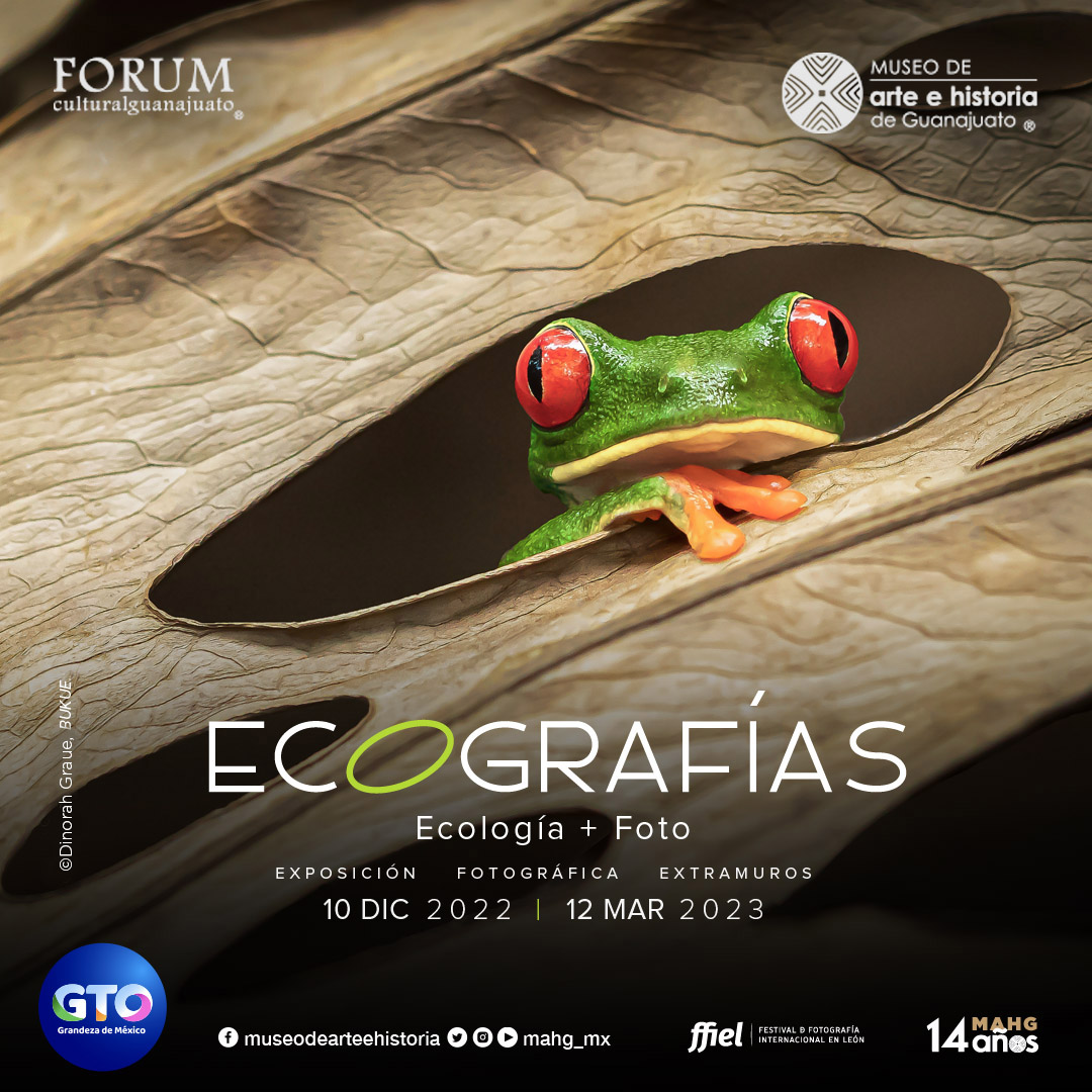 mahg_mx's tweet image. 🤳🏽Disfruta de la expo Arte Extramuros: #EcoGrafías Ecología + Foto

en el marco de @FFIELeon

📷de @TamaraBlazquezH #JavierHinojosa #DinorahGraue #RodrigoCruz #BrianMena🇲🇽 @WerningIrina🇦🇷 @mattabbottphoto🇦🇺 @Nikbarte🇮🇹 @feliciasimion🇷🇴 FrøydisDalheim🇳🇴 @GAryafara 🇦🇺

#ÚltimosDías