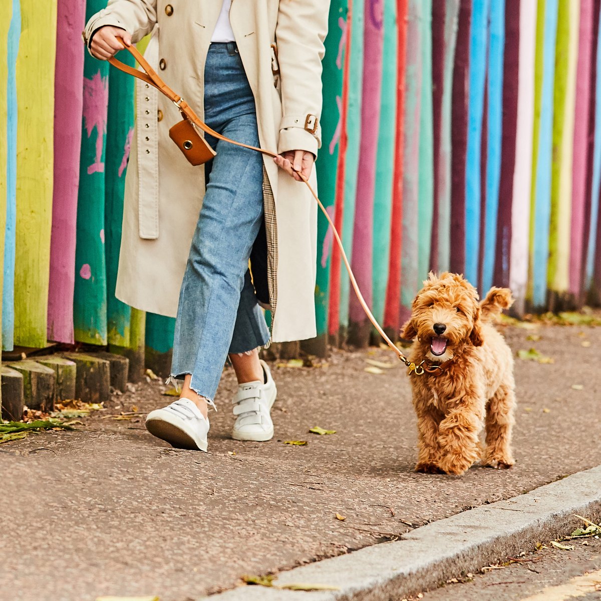 Project Blu tweet media