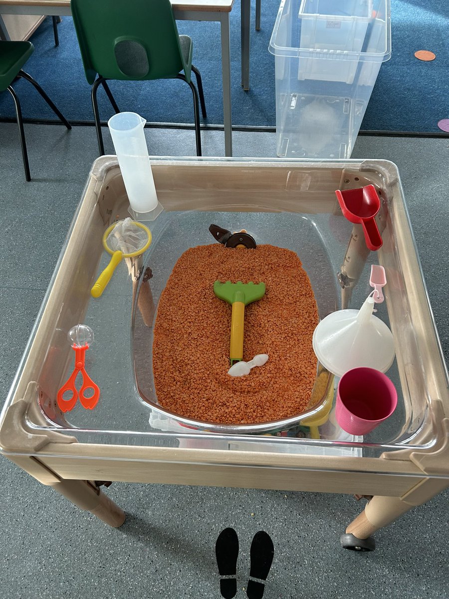 P1D had great fun today playing with lentils and investigating different ways of pouring, scooping and measuring. It’s safe to say we made quite a mess on the floor by the end of the day! Who knew dried lentils could bounce?! #playbasedlearning <a href="/FernieleaSchool/">Fernielea School</a>
