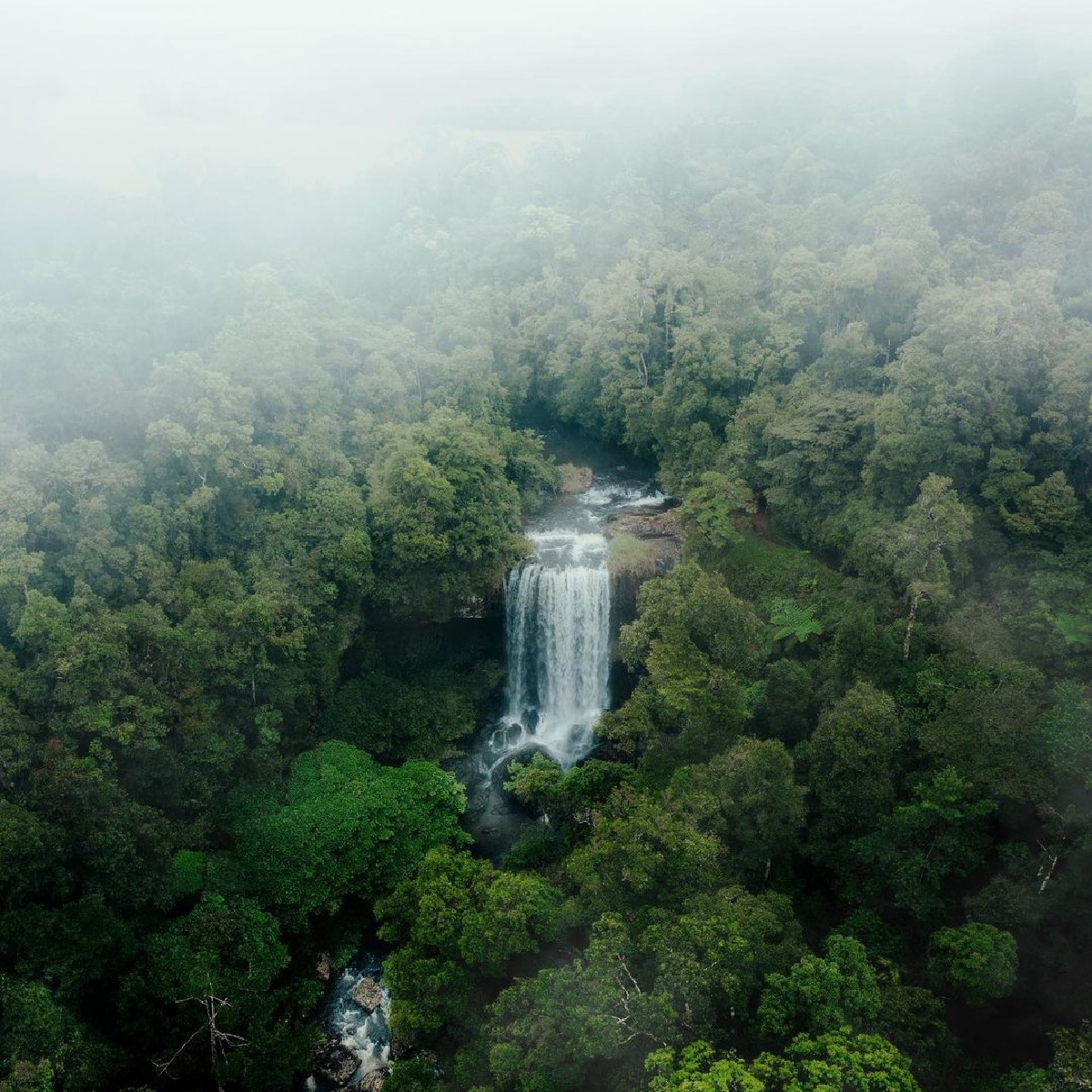Okaaaay, Mother Nature, we see you flexing! 💪🌿 Welcome to Zillie Falls in @CairnsGBR. Nestled in @Queensland's Athertont Tablelands, it is one of the jaw-dropping stops along the Waterfall Circuit 💦. #seeaustralia #comeandsaygday https://t.co/HX2nAuzJ8z