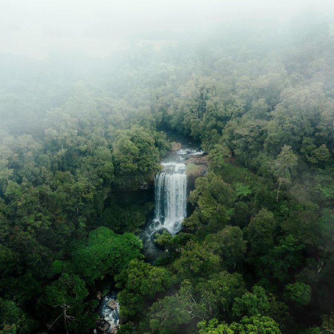 Okaaaay, Mother Nature, we see you flexing! 💪🌿  Welcome to Zillie Falls in&nbsp;@CairnsGBR. Nestled in @Queensland's<a href="/tag/seeaustralia"class="tags"><span>#seeaustralia</span></a><a href="/tag/comeandsaygday"class="tags"><span>#comeandsaygday</span></a>