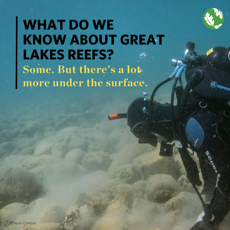 TNCMichigan's tweet photo. You might think we know everything there is to know about our #GreatLakes—a focus of science and management for many years—but we still have a lot to learn. 

Senior Conservation Scientist Matt Herbert dives into the topic. ⬇️