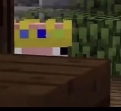 NotLeafxq's tweet image. Hello #riptechno #technoblade