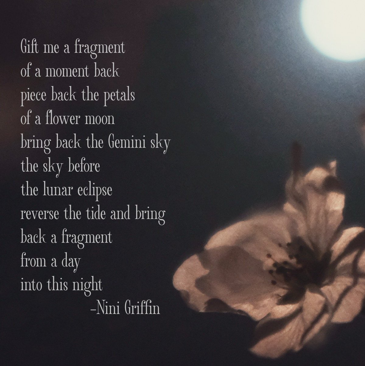 Fragments -Nini Griffin #poetry #writing #fragments #moments #time #turnbacktime #writingcommmunity #poetrycommunity #ireland #irishwriter #naturewriting #night #lunar
