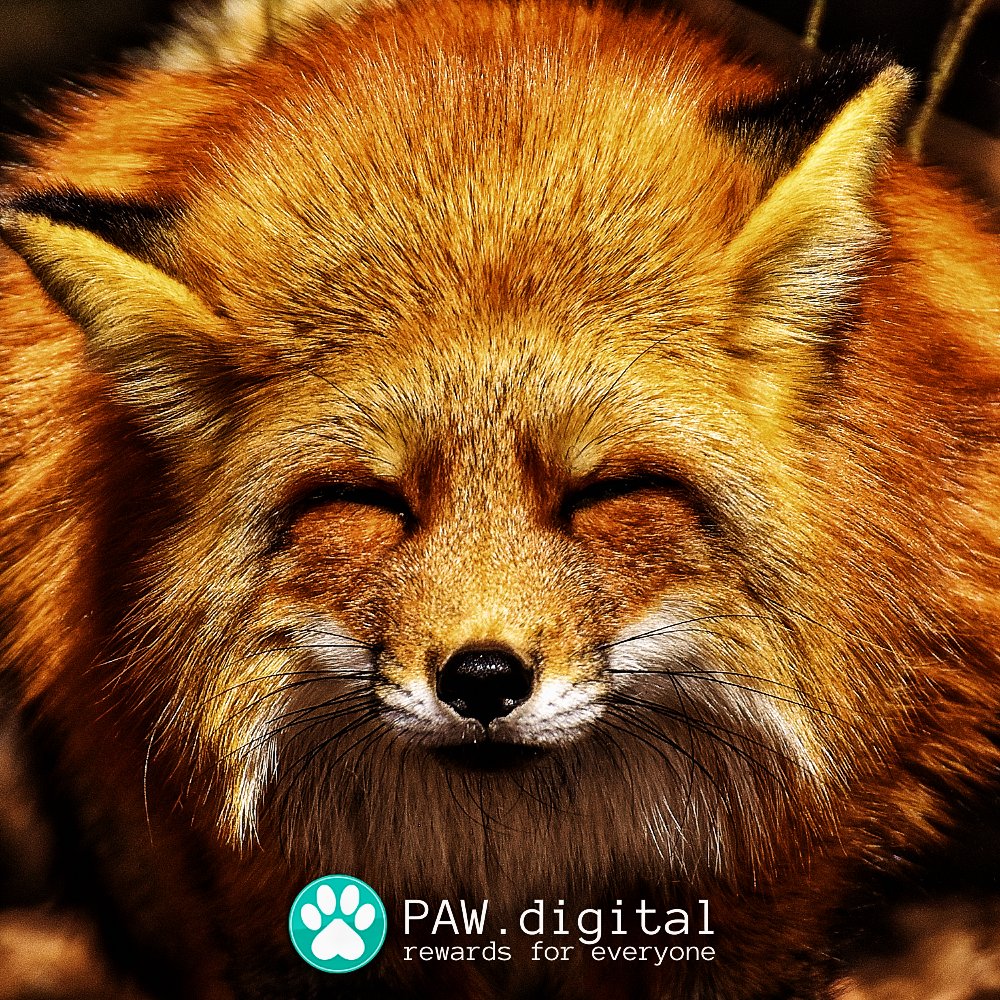TreatsBot's tweet photo. 🐾PAW has good vibes 🌞☺️🌄

Claim 2000 PAW

- Add your PAW address to your twitter bio
- Like &amp; Retweet
- Respond with any PAW logo, and use hashtags: $PAW #PAW #altcoin 

🦁🐶🐱🐻🐵🐴🐘🐖🦔🦝🐔🐰

⏳Ends in 24 hours
#memecoins #airdrop 🚀🪐🌻 https://t.co/xbWIR9KjHq