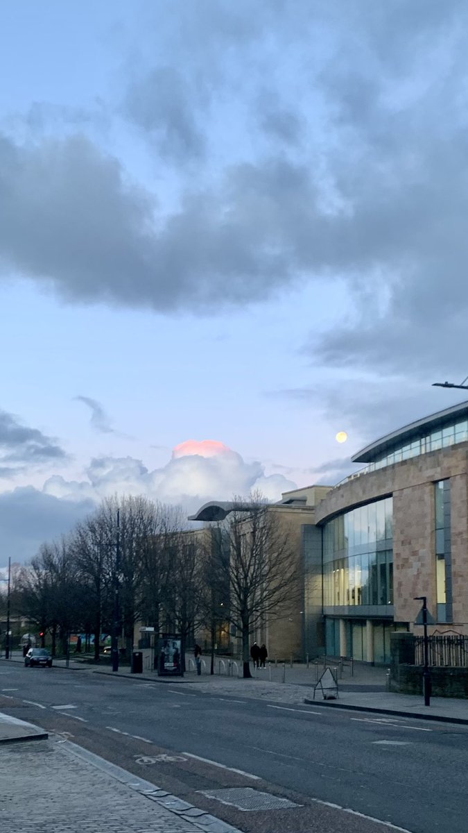 MaxGerun's tweet image. 